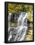 Essential Black
