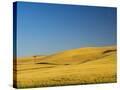 Stretched Canvas