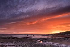 Clovelly Harbour-Terry Mathews-Laminated Photographic Print