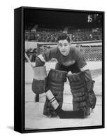 Terry Sawchuck, Star Goalie for the Detroit Red Wings, Posing in Front of Goal at Ice Arena-Alfred Eisenstaedt-Framed Stretched Canvas