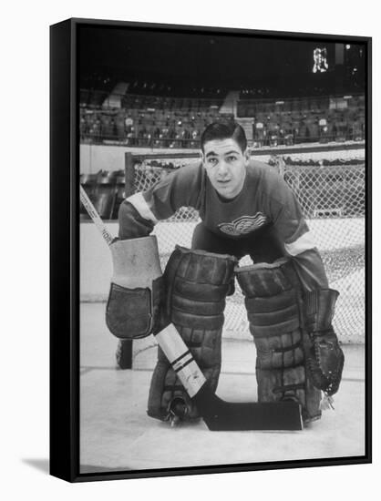 Terry Sawchuck, Star Goalie for the Detroit Red Wings, Posing in Front of Goal at Ice Arena-Alfred Eisenstaedt-Framed Stretched Canvas