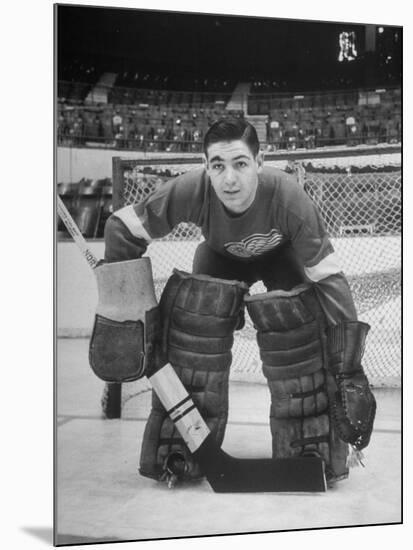 Terry Sawchuck, Star Goalie for the Detroit Red Wings, Posing in Front of Goal at Ice Arena-Alfred Eisenstaedt-Mounted Premium Photographic Print