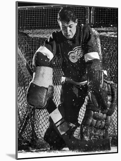 Terry Sawchuck, Star Goalie for the Detroit Red Wings, Warding Off Shot on Goal, at Ice Arena-Joe Scherschel-Mounted Premium Photographic Print