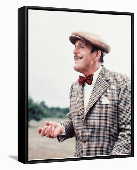 Terry-Thomas-null-Framed Stretched Canvas