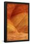 Essential Black