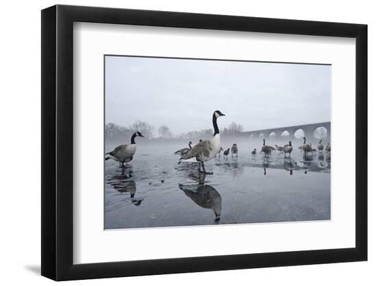 Premium Photographic Print, , large