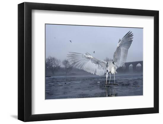 Premium Photographic Print, , large