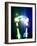 Tesla Coils Firing, Artwork-Victor Habbick-Framed Photographic Print