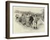 Tess of the D'Urbervilles-Hubert von Herkomer-Framed Giclee Print