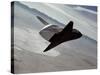 Test of Space Shuttle Prototype Enterprise in Free Flight Glide and Landing on Rogers Dry Lake Bed-null-Stretched Canvas