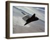 Test of Space Shuttle Prototype Enterprise in Free Flight Glide and Landing on Rogers Dry Lake Bed-null-Framed Photo