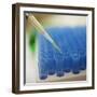 Test Tube Experiment-Tim Pannell-Framed Photographic Print