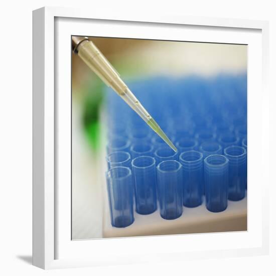 Test Tube Experiment-Tim Pannell-Framed Photographic Print