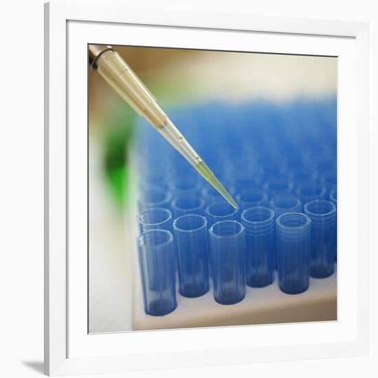 Test Tube Experiment-Tim Pannell-Framed Photographic Print