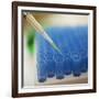 Test Tube Experiment-Tim Pannell-Framed Photographic Print