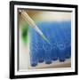 Test Tube Experiment-Tim Pannell-Framed Photographic Print