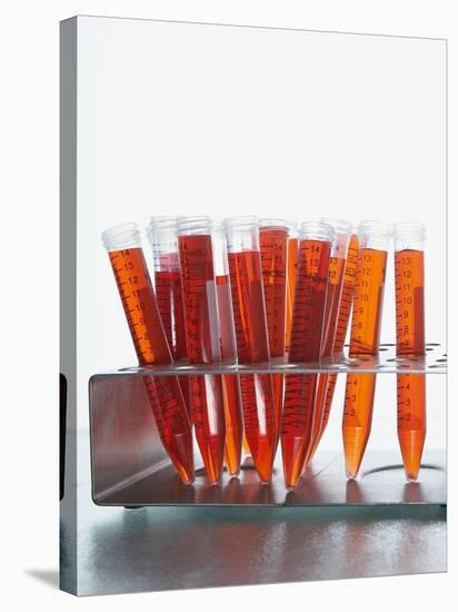 Test tubes filled with orange liquid-Kristopher Grunert-Stretched Canvas