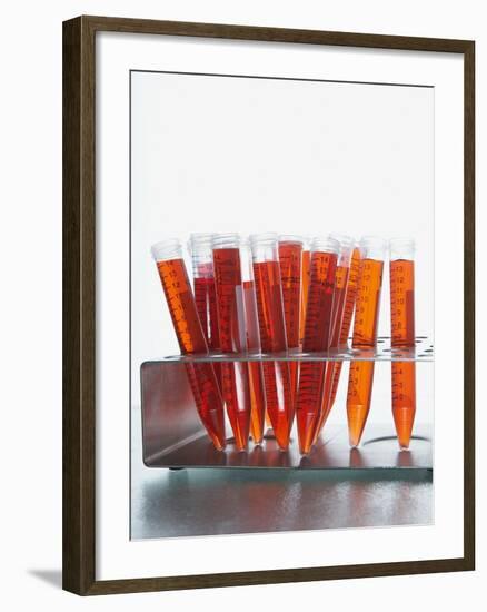 Test tubes filled with orange liquid-Kristopher Grunert-Framed Photographic Print