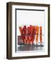 Test tubes filled with orange liquid-Kristopher Grunert-Framed Photographic Print