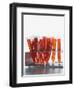 Test tubes filled with orange liquid-Kristopher Grunert-Framed Photographic Print