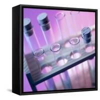 Test Tubes-null-Framed Stretched Canvas