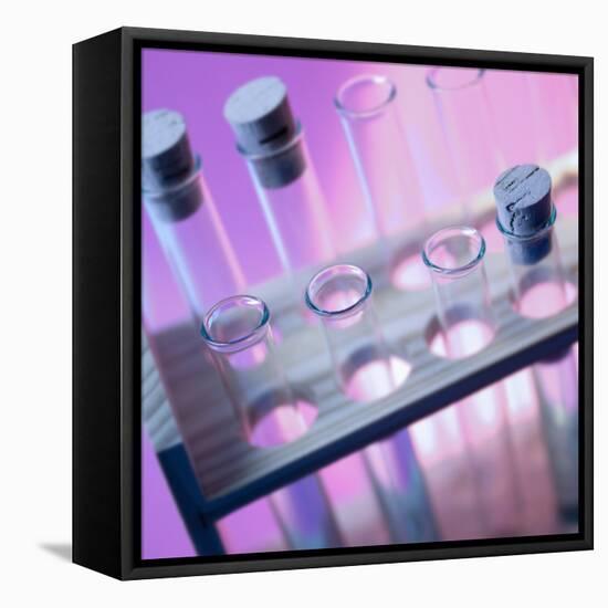 Test Tubes-null-Framed Stretched Canvas