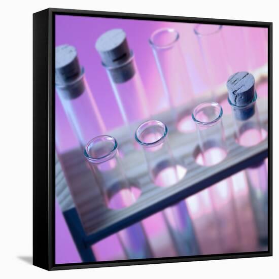 Test Tubes-null-Framed Stretched Canvas