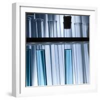 Test Tubes-null-Framed Photographic Print