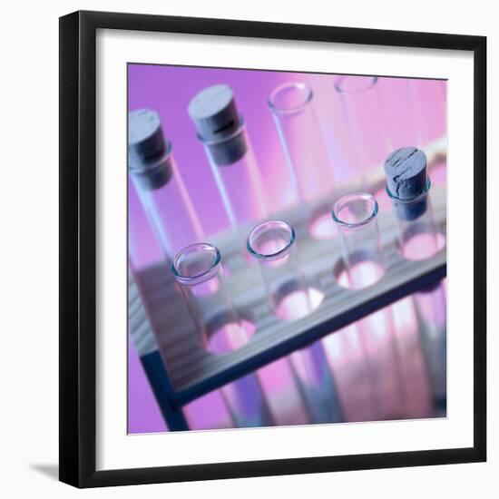 Test Tubes-null-Framed Photographic Print