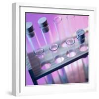 Test Tubes-null-Framed Photographic Print