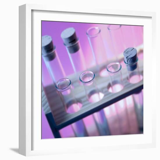 Test Tubes-null-Framed Photographic Print