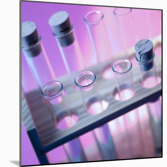 Test Tubes-null-Mounted Photographic Print