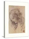 Testa Di Donna Di Profilo-Leonardo Da Vinci-Stretched Canvas