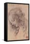 Testa di Giovinetta-Leonardo da Vinci-Framed Stretched Canvas