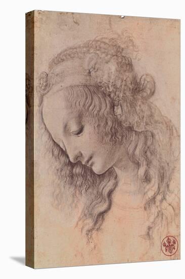 Testa di Giovinetta-Leonardo da Vinci-Stretched Canvas