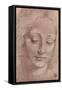 Testa di Giovinetta-Leonardo da Vinci-Framed Stretched Canvas