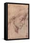 Testa Femminile di Profilo-Michelangelo Buonarroti-Framed Stretched Canvas