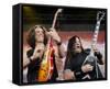 Testament-null-Framed Stretched Canvas