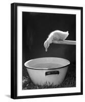 Testing the Water-The Chelsea Collection-Framed Giclee Print