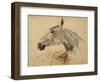 Testo Di Cavallo-Henri de Toulouse-Lautrec-Framed Giclee Print