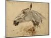 Testo Di Cavallo-Henri de Toulouse-Lautrec-Mounted Giclee Print