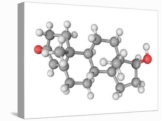 Testosterone Hormone, Molecular Model-Laguna Design-Stretched Canvas