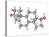 Testosterone Hormone, Molecular Model-Laguna Design-Stretched Canvas