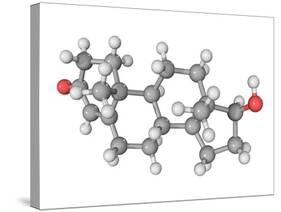 Testosterone Hormone, Molecular Model-Laguna Design-Stretched Canvas