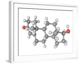 Testosterone Hormone, Molecular Model-Laguna Design-Framed Photographic Print