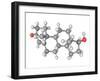 Testosterone Hormone, Molecular Model-Laguna Design-Framed Photographic Print