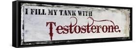 Testosterone-null-Framed Stretched Canvas