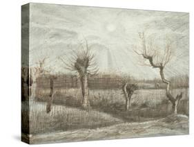 Tetards (Pollards), 1884-Vincent van Gogh-Stretched Canvas