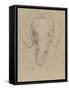Tête d'éléphant-Charles Le Brun-Framed Stretched Canvas