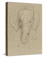 Tête d'éléphant-Charles Le Brun-Stretched Canvas